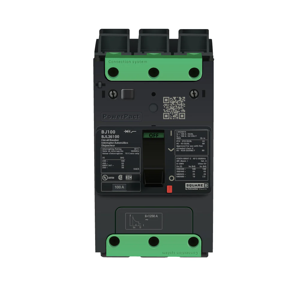 BJL36100 - Square D - Molded Case Circuit Breakers - Image 5