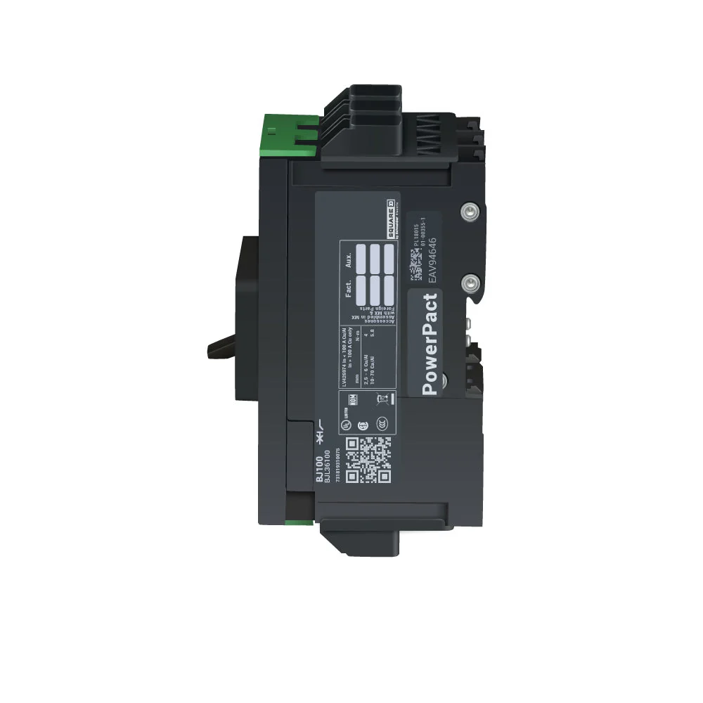 BJL36100 - Square D - Molded Case Circuit Breakers - Image 7